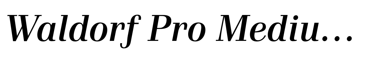 Waldorf Pro Medium Italic